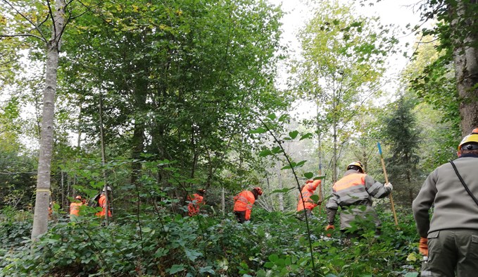 Die Teilnehmenden suchten im Chüserainwald auf dem Gemeindegebiet von Neuenkirch nach Wildschweinkadaver-Attrappen... (Foto ZVG)