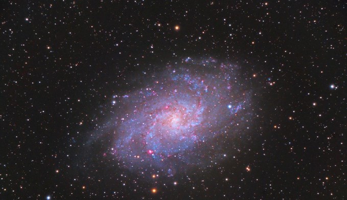 Bild Nr. 4: Die Galaxie «M33» ist die drittgrösste in unserer galaktischen Nachbarschaft. (Foto Sascha Matter)