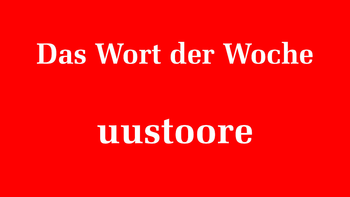 165504_165506.jpeg
