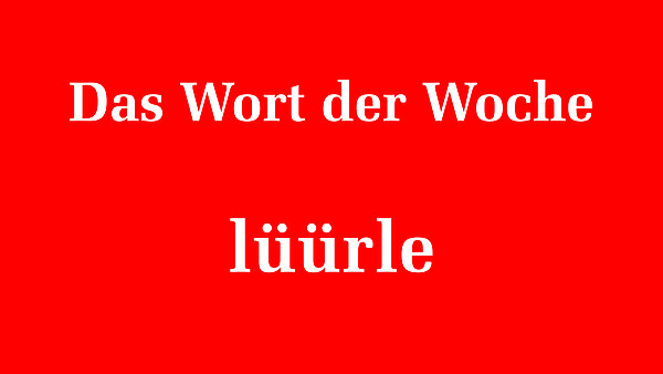 133839_133840.jpeg