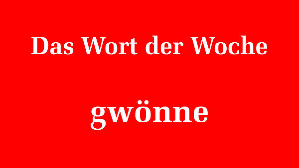135365_135366.jpeg