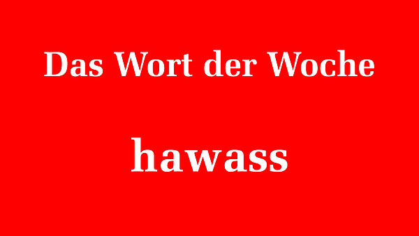 134339_134341.jpeg