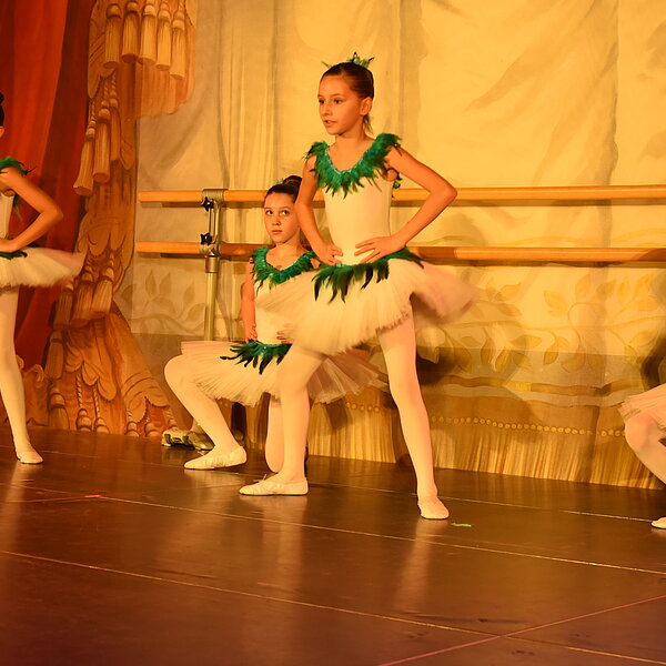 
									Stand an Stand – Surwa 2025: Bild 13
								