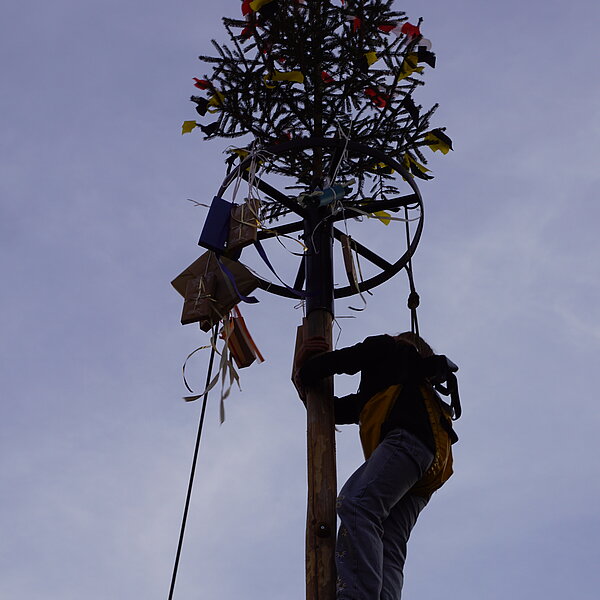 
									Die Gans ist ab – Gansabhauet 2025: Bild 20
								