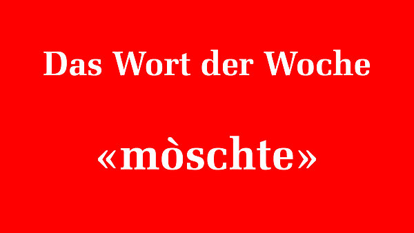 157542_157547.jpeg