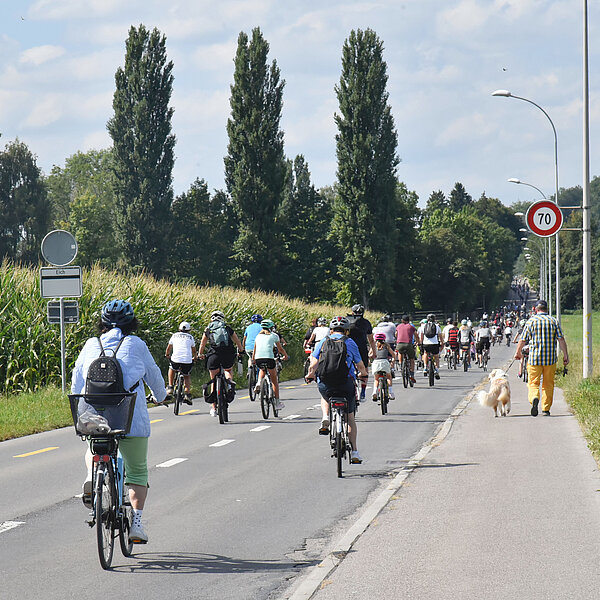 
									Die lange Gerade von Sempach nach Eich war den ganzen Tag stark befahren, was aus der Ferne für eindrückliche Bilder sorgte. (Foto Franziska Kaufmann)
								