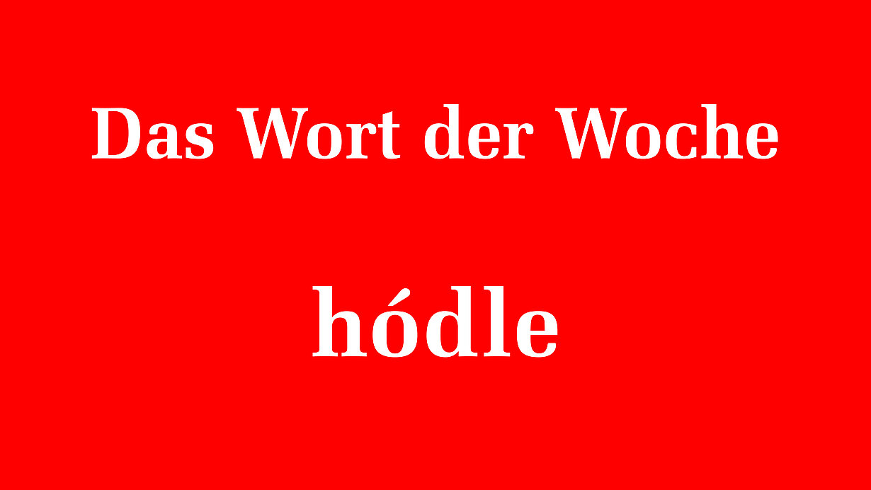 142770_142771.jpeg