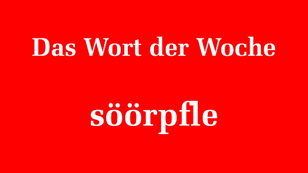 130980_130983.jpeg