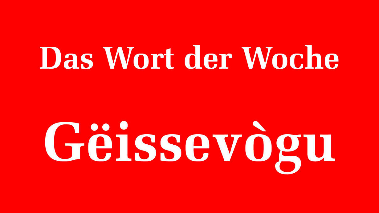 144441_144442.jpeg