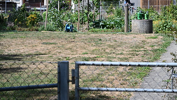 164831_164833.jpeg