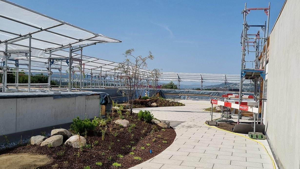 5. Schritt: Alle Pflanzen und Findlinge sind gesetzt, die Terrasse gesäubert.