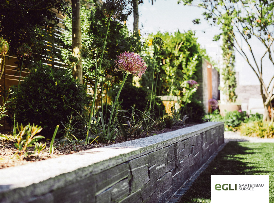 Wenn der Garten erwacht und Stauden anfangen zu blühen.FOTO ZVG 