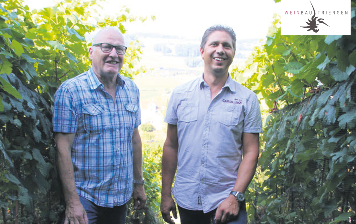 Weinbau Triengen