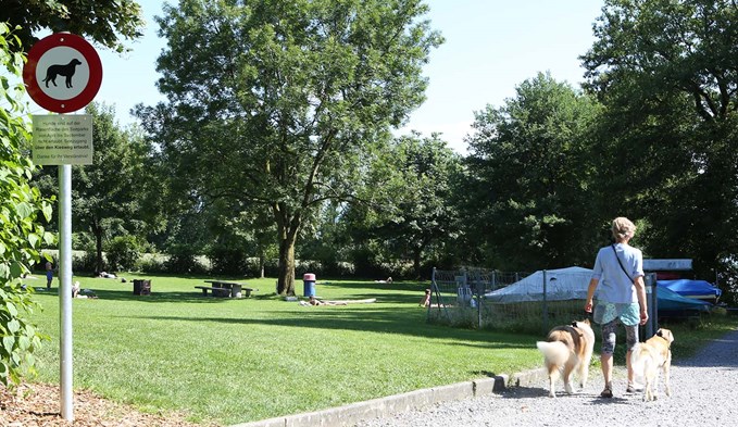 Das Hundeverbot gilt auf der Grünfläche, nicht aber auf dem Kiesweg entlang dem See. (Foto: ana)