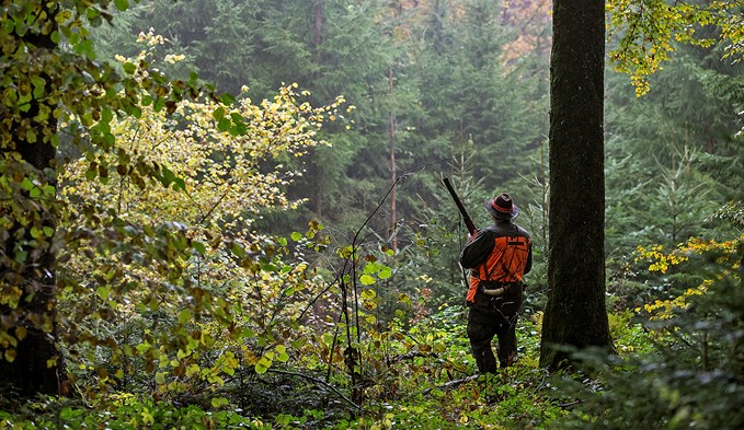 Ein Jäger von der Jagdgesellschaft Neudorf ist auf der Jagd im Lindenwald in Neudorf. Foto: keystone/Alexandra Wey