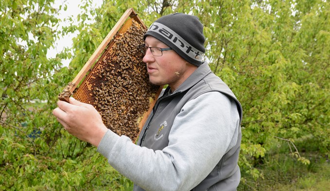 Er nennt sie «Kuschelbienen». Das Bienenvolk ist eines seiner freundlichsten Völker. Foto: Livia Kurmann