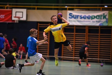 Am 33. Schüler-Handballturnier des BSV Sursee gingen 28 Teams auf Torejagd. (Foto Manuel Arnold)