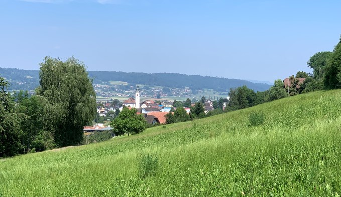 Blick nach Triengen (Kirche in der Mitte des Bildes).  (Foto sti)