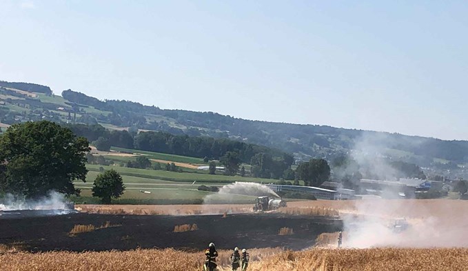An der Moosgasse in Triengen brannte am Mittwoch ein 6 Hektaren grosses Feld.  (Foto zvg)