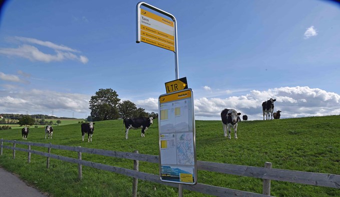 Idyllisch und tierisch: Bushaltestelle Tann, Schenkon, Fahrtrichtung Beromünster.  (Foto Thomas Stillhart)