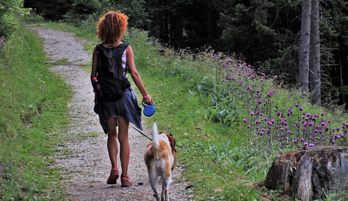 Von April bis Juli müssen Hunde in Waldesnähe obligatorisch an der Leine gehalten werden.  ((Foto zvg))