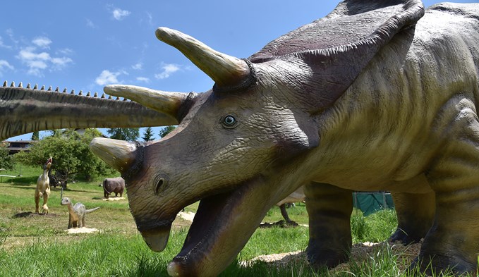 Dinoworld gastiert derzeit im Heugärten in Geuensee.  (Foto Thomas Stillhart)