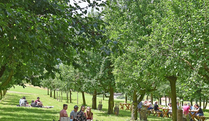 Der Picknick unter den Pflaumenbäumen war stimmungsvoll.  (Foto Thomas Stillhart)