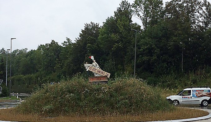 In Sempach, beim Kreisel bei der Autobahneinfahrt, tauchte die Gans im August 2020 wieder auf.  (Foto zvg)