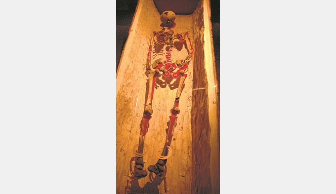 So wurde die in Sursee gefundene Keltin im Museum präsentiert.  (Foto Daniel Zumbühl/archiv)