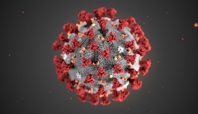 Das Coronavirus.  (Symbolbild zvg)
