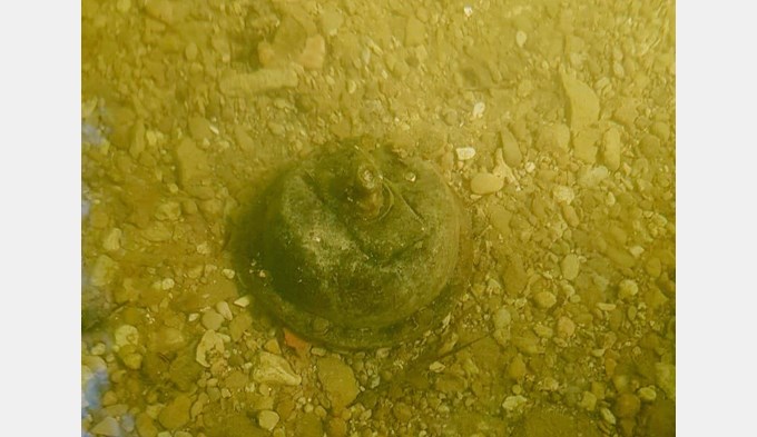 Im Riffigweiher wurde ein verdächtiger Gegenstand gesichtet. Experten konnten nicht ausschliessen, dass es sich um eine gefährliche Granate handeln könnte.  (Foto ZVG)