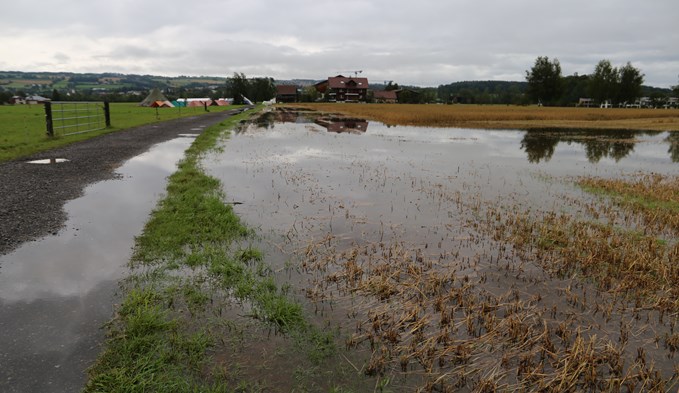Eine kleine Seenlandschaft entlang der Seestrasse in Sempach Station, im Hintergrund ein Zeltlager. (Geri Wyss)