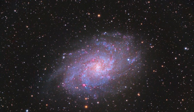Bild Nr. 4: Die Galaxie «M33» ist die drittgrösste in unserer galaktischen Nachbarschaft. (Foto Sascha Matter)