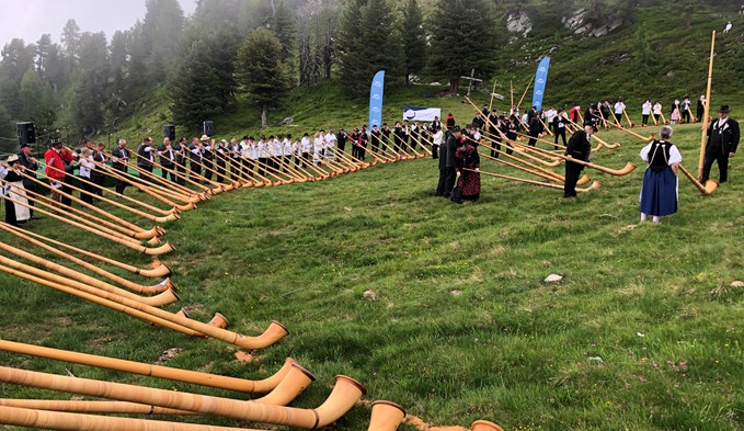 Am Alphornfestival in Nendaz nahmen weit über 100 Alphornbläser teil – unter anderem auch das Alphornquartett Surental.  (Foto zvg)