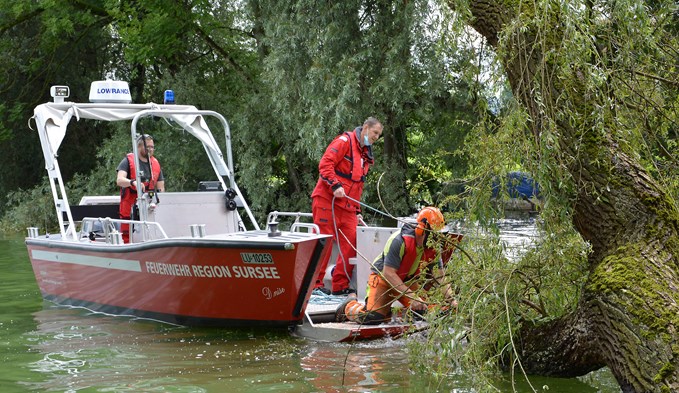 Mit Hilfe des Ölwehrboots «Denise» entfernte die Feuerwehr einen Baum beim Ausfluss des Sempachersees.  (Foto zvg)