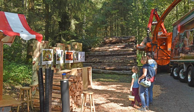 Viel Wissenswertes gab es über den Energieträger Holz zu erfahren. (Foto Daniel Zumbühl)