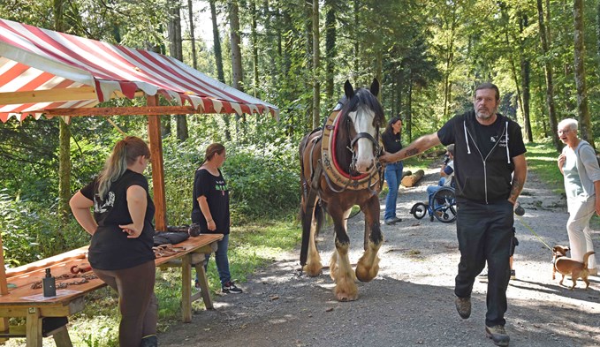 Holzrücken mit dem Pferd erlebt man nicht alle Tage. (Foto Daniel Zumbühl)