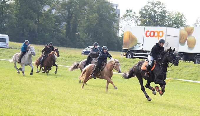 An der 45. Surentaler Fuchsschwanz nahmen 108 Reiterinnen teil.  (Foto Thomas Stillhart)