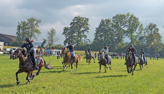 An der 45. Surentaler Fuchsschwanz nahmen 108 Reiterinnen teil.  (Foto Thomas Stillhart)