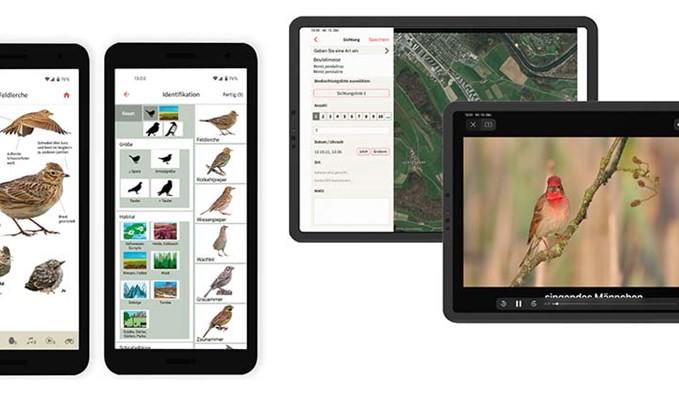 Für Vogelliebhaber und solche, die es werden wollen, ist die neue App von Birdlife Schweiz bestimmt. (Visualisierungen zVg)