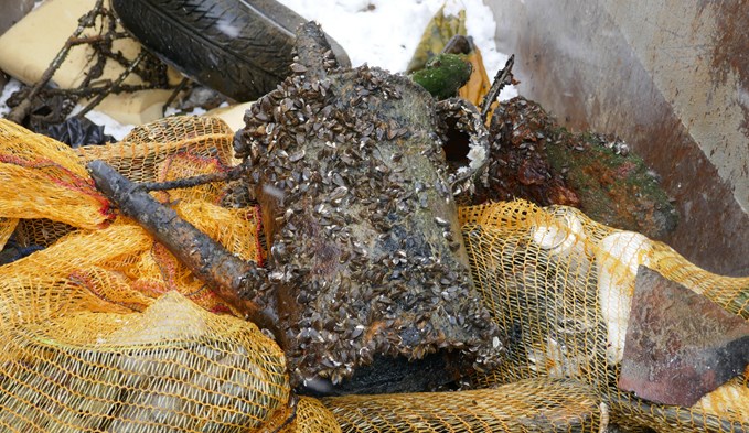 Lag schon länger unter Wasser: Eine mit Muscheln bepackte Giesskanne. (foto zvg)