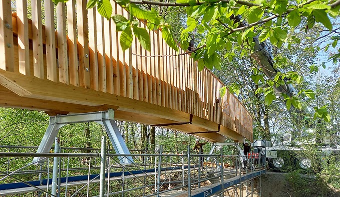 Einbau der Holzbrücke über die Sure.  (Foto zvg)