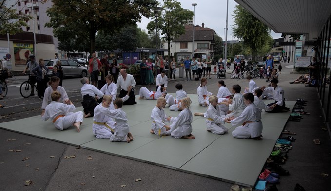 Bei Aikido Sursee trainieren rund 60 Kinder und Jugendliche. (Foto ZVG)