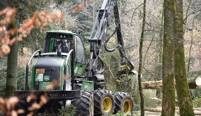 Ein sogenannter Holzvollernter fällt Bäume im Surseer Wald, entastet sie und zerteilt die Stämme in die vorgegebene Länge. (Foto Archiv/Sarah Amrein)