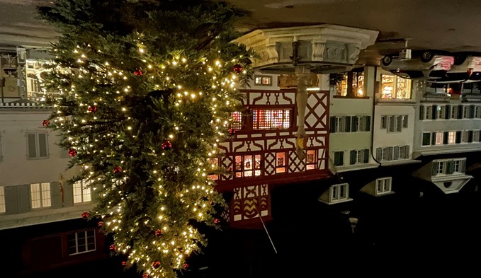 Der Weihnachtsbaum von der Korporation Sempach leuchtet auch dieses Jahr im Städtli.  (Foto Marco Sieber)