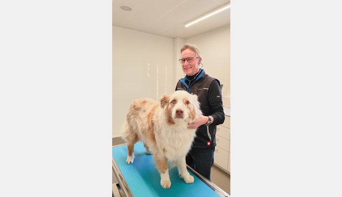 Trotz der Pensionierung ist Hans von Wartburg regelmässig in der Tierarztpraxis Bleumatt zu Besuch. (Foto zVg)