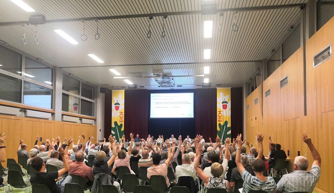 Eine grosse Mehrheit der Eicher Gemeindeversammlung befürwortete den Beitritt zur Meierhöfli AG. (Foto Céline Estermann-Erni)