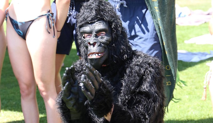 Auch ein Gorilla machte am Contest mit – der spätere Sieger Daniel Hürzeler aus Fischbach. (Foto Geri Wyss)
