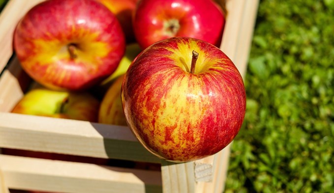 Am 15. September ist Tag des Apfels. (Foto «1195798»/Pixabay)