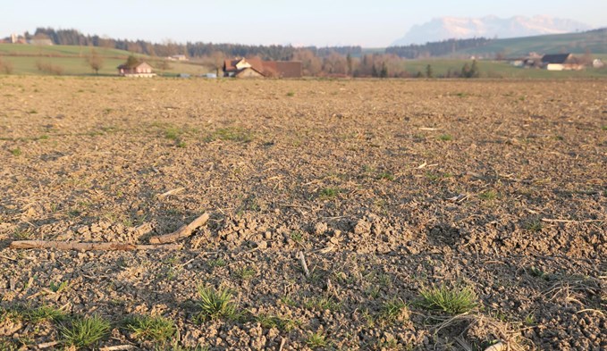 Nach einem sehr trockenen März 2022 waren die Böden in der Region ausgetrocknet, wie hier im Gebiet Flüss in Nottwil. (Foto Geri Wyss/Archiv)